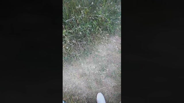 emanuele033  05-07-2022